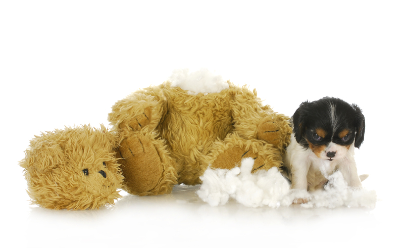 Cost-effective Tips for Handling Bulky Waste