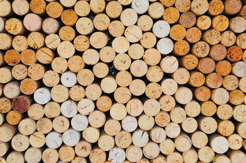 The Invisible Impact: How Poor Waste Disposal Endangers Nature