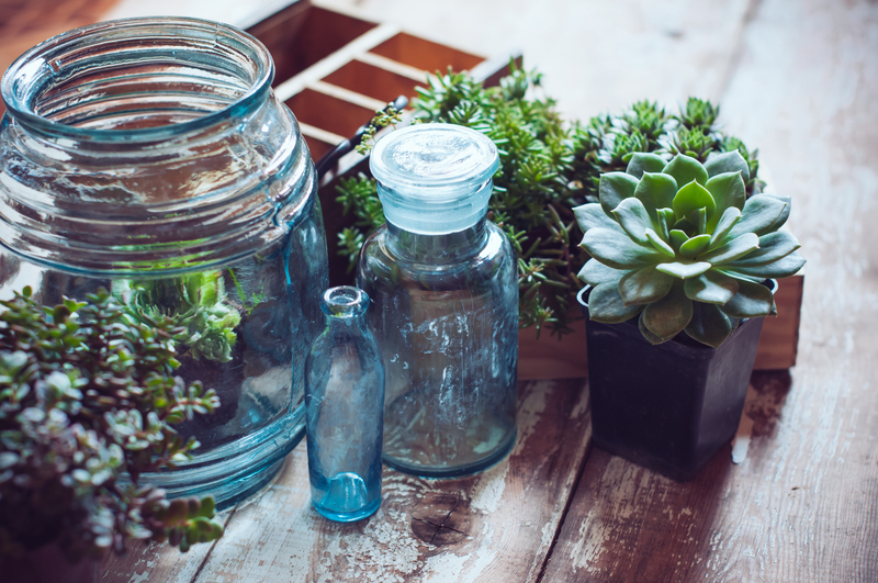 From Overwhelmed to Organized: Mastering Clutter Removal in Hoarder Spaces